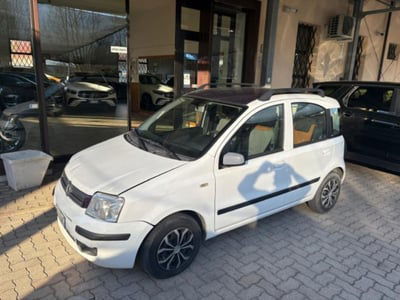 Fiat Panda 1.2 Dynamic usata