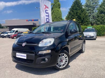 Fiat Panda 1.2 Easy usata