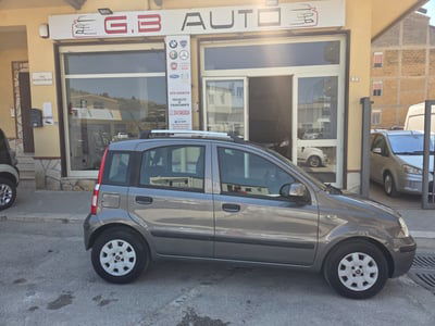 Fiat Panda 1.2 Dynamic usata
