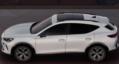 Cupra Formentor Formentor 2.0 TDI (7)