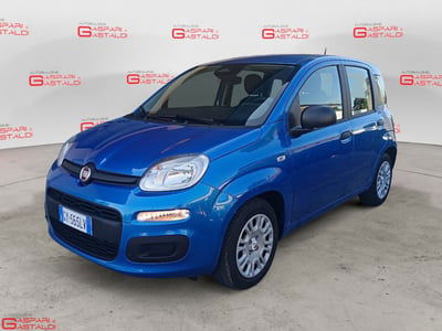 Fiat Panda Cross Cross 1.0 FireFly S&S Hybrid usata