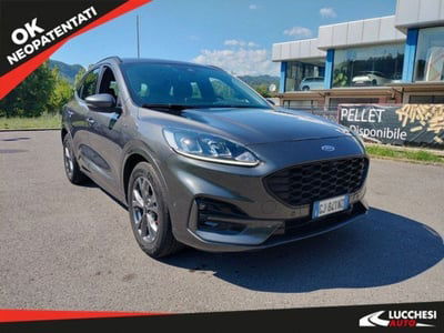 Ford Kuga 1.5 EcoBlue 120 CV 2WD ST-Line usata