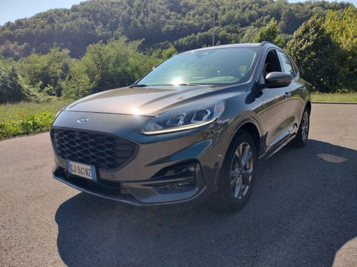 Ford Kuga 1.5 EcoBlue 120 CV 2WD ST-Line (2)