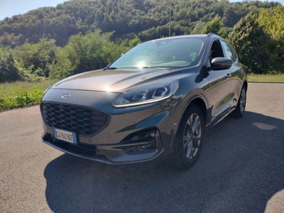Ford Kuga 1.5 EcoBlue 120 CV 2WD ST-Line (2)