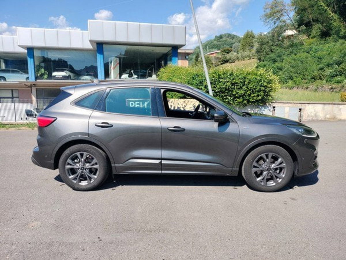Ford Kuga 1.5 EcoBlue 120 CV 2WD ST-Line (4)