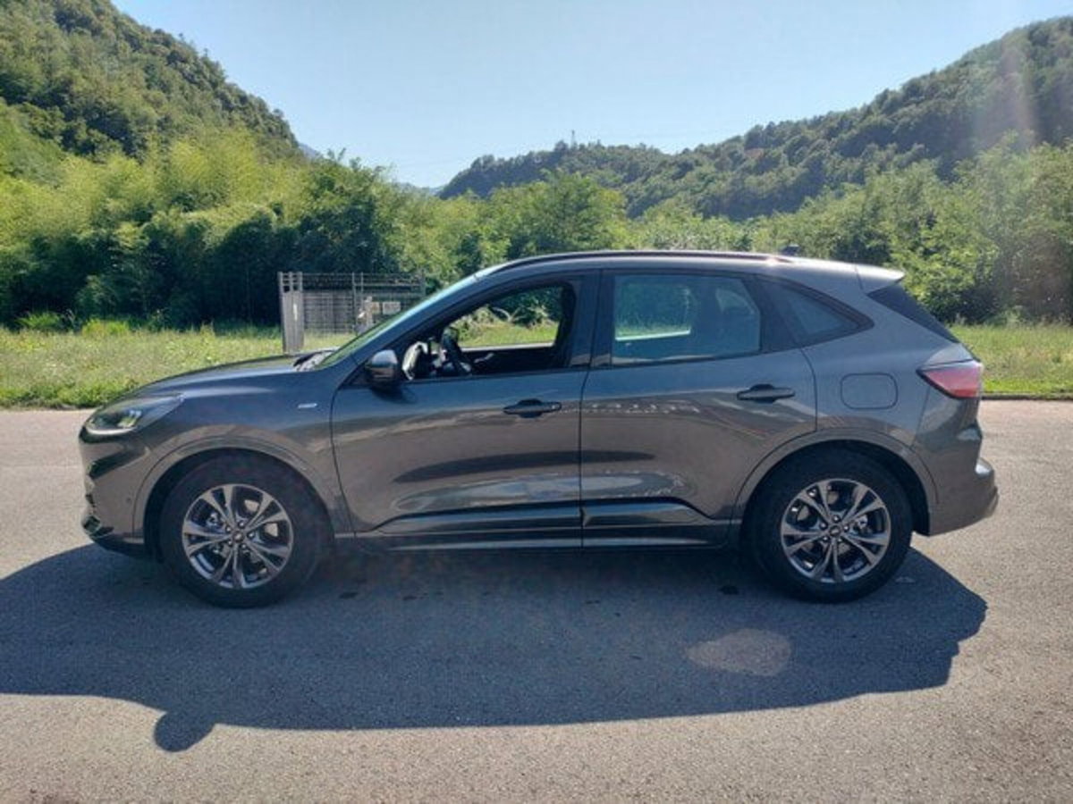 Ford Kuga 1.5 EcoBlue 120 CV 2WD ST-Line (5)