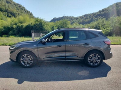 Ford Kuga 1.5 EcoBlue 120 CV 2WD ST-Line (5)