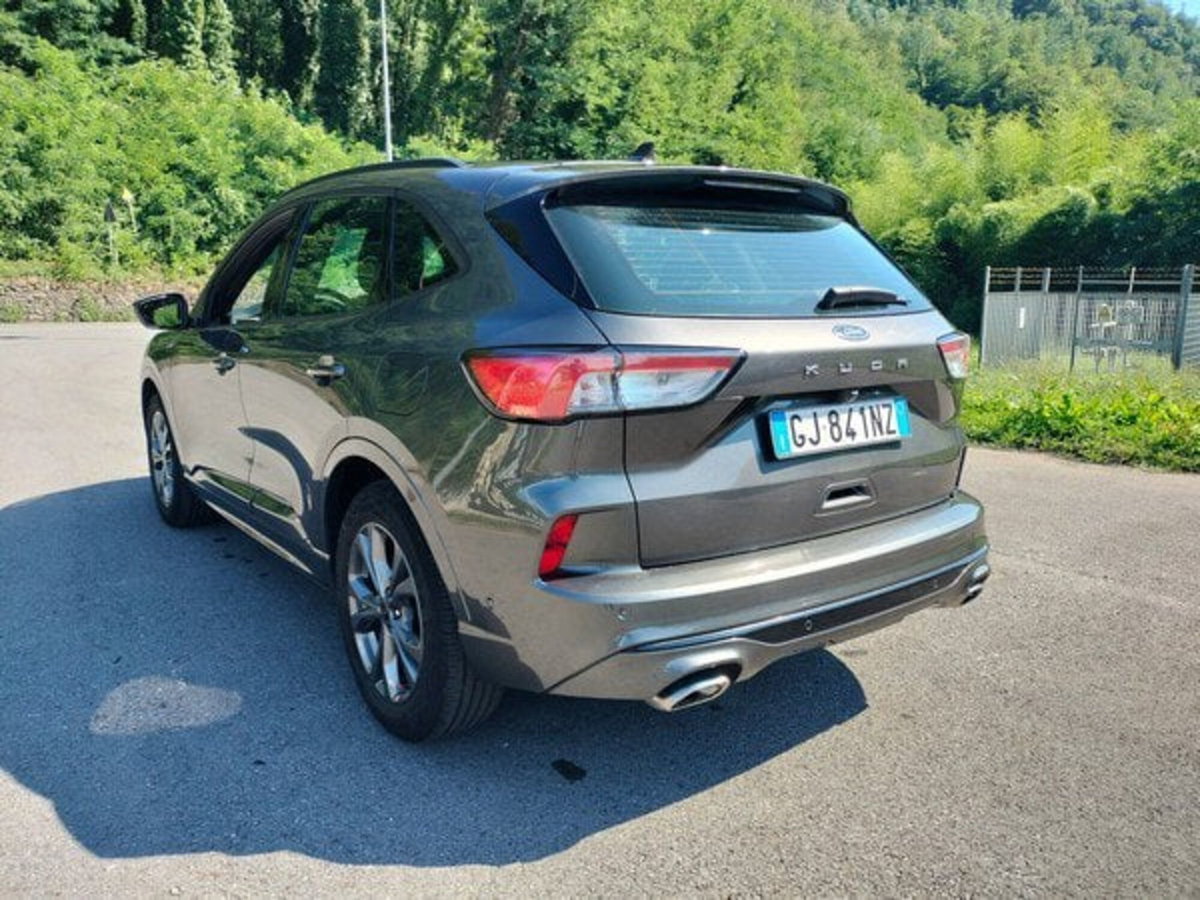 Ford Kuga 1.5 EcoBlue 120 CV 2WD ST-Line (8)