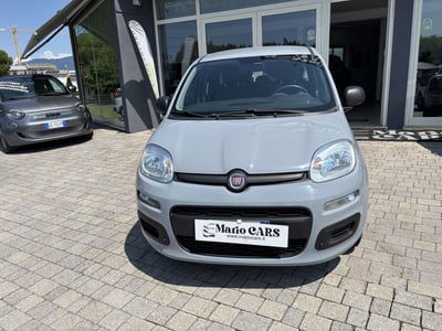 Fiat Panda 1.2 Easy usata