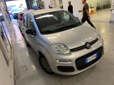 Fiat Panda 1.2 Easy usata