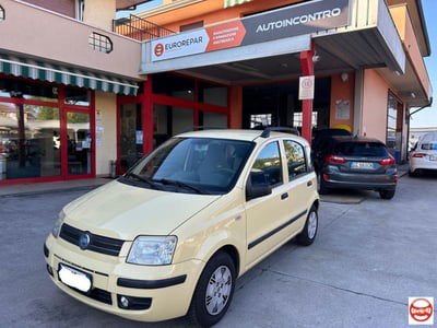 Fiat Panda 1.2 Dynamic usata