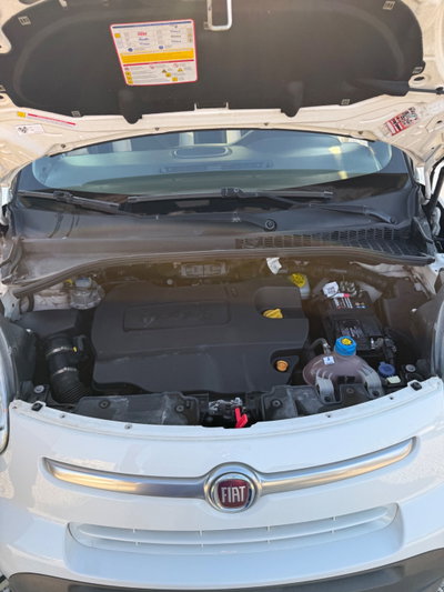 Fiat 500L 1.6 Multijet 120 CV Trekking (15)