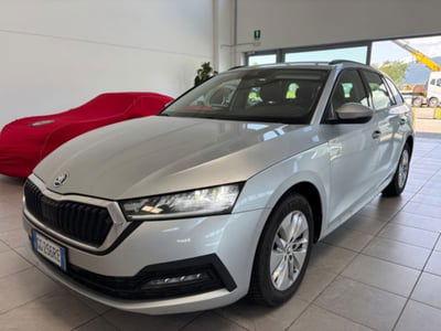 Skoda Octavia Station Wagon 2.0 TDI EVO SCR 150 CV DSG 4x4 Wagon Executive