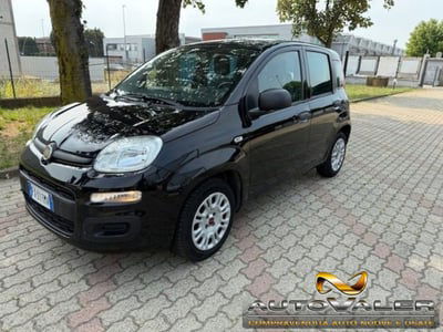 Fiat Panda 1.2 Pop Van 2 posti usata