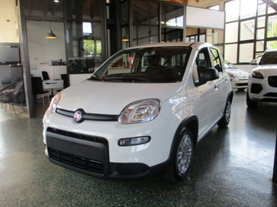 Fiat Panda 1.0 firefly hybrid s&s 70cv 5p.ti nuova