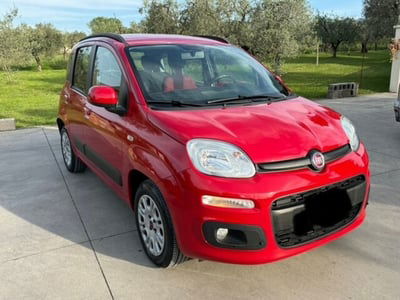 Fiat Panda 1.2 Easy usata