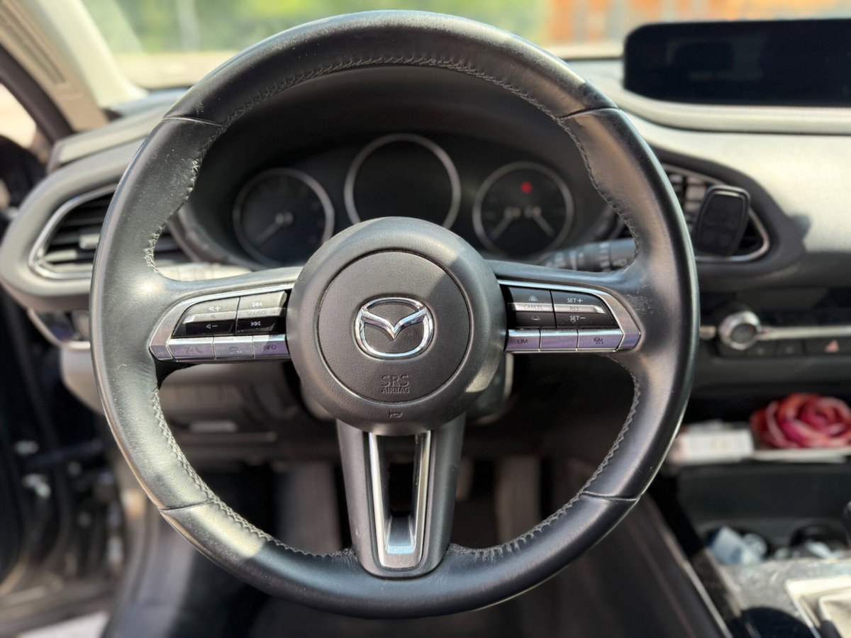Mazda CX-30 e-Skyactiv-G 150 CV M Hybrid Hybrid 2WD Homura (10)