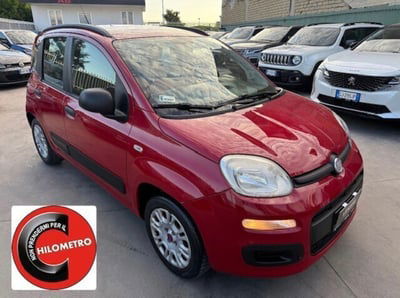 Fiat Panda 1.2 EasyPower Pop usata