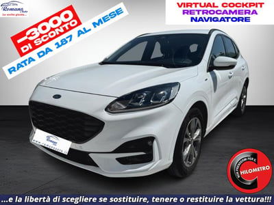 Ford Kuga 1.5 EcoBlue 120 CV 2WD ST-Line usata