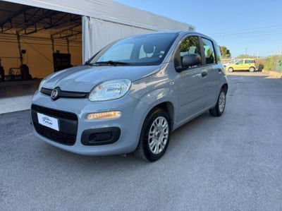 Fiat Panda 1.2 Pop usata