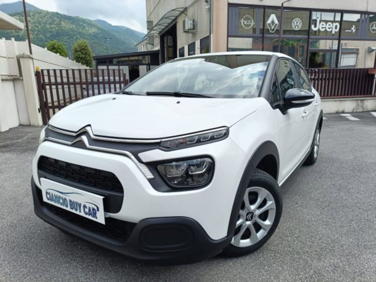 Citroen C3 BlueHDi 100 S&S Business Combi (2)