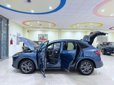 Ford Kuga 2.0 EcoBlue 120 CV aut. 2WD ST-Line X (10)