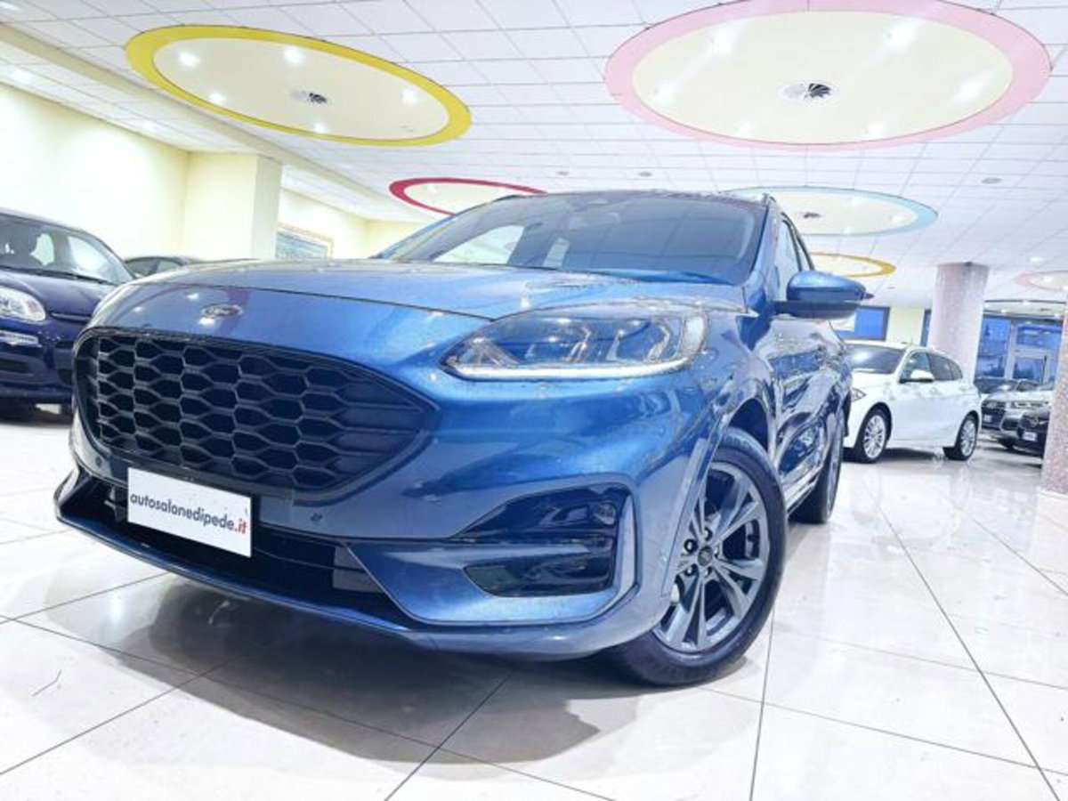 Ford Kuga 2.0 EcoBlue 120 CV aut. 2WD ST-Line X (11)
