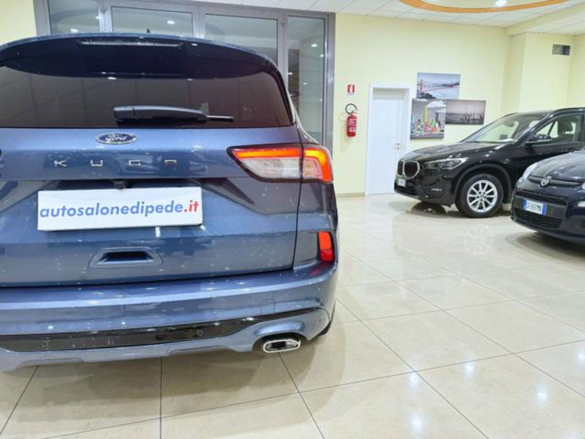Ford Kuga 2.0 EcoBlue 120 CV aut. 2WD ST-Line X (14)