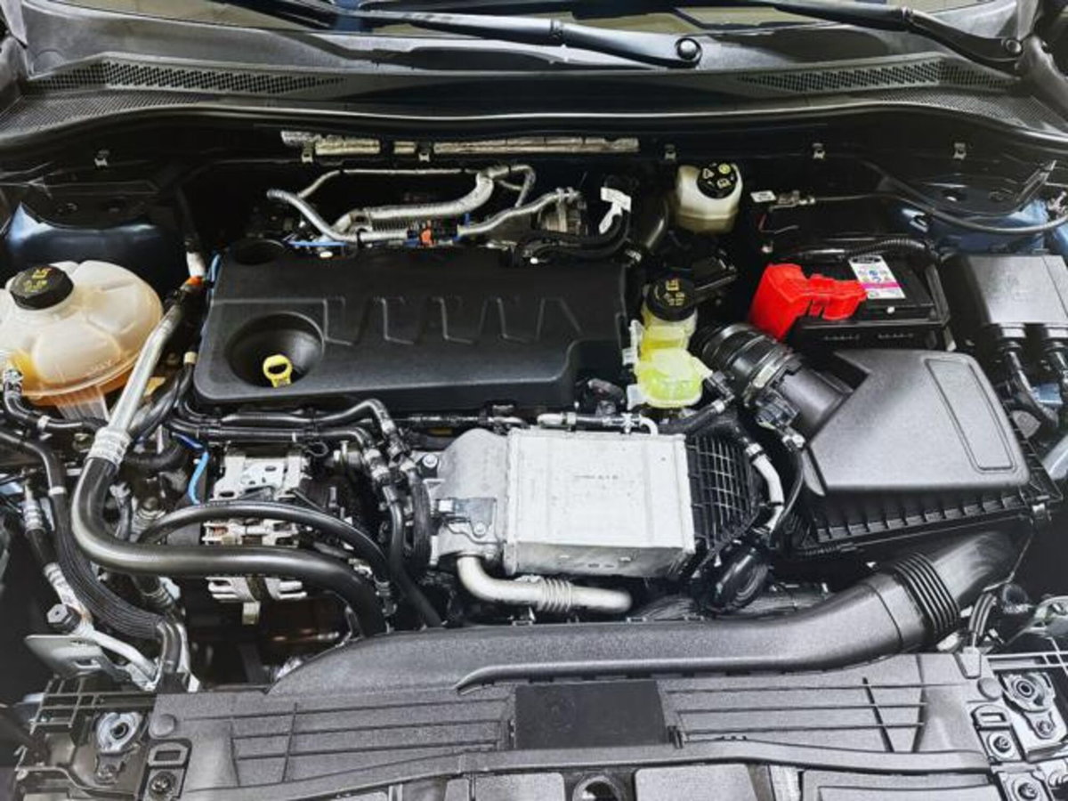 Ford Kuga 2.0 EcoBlue 120 CV aut. 2WD ST-Line X (17)