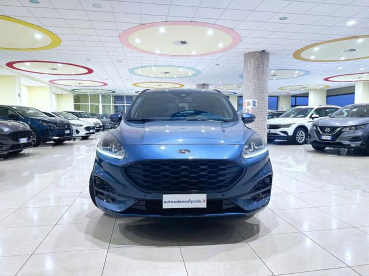Ford Kuga 2.0 EcoBlue 120 CV aut. 2WD ST-Line X (2)