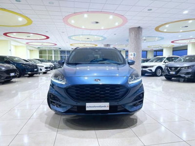 Ford Kuga 2.0 EcoBlue 120 CV aut. 2WD ST-Line X (2)