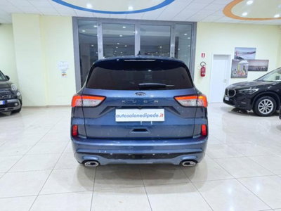 Ford Kuga 2.0 EcoBlue 120 CV aut. 2WD ST-Line X (5)