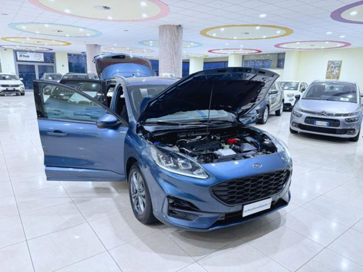 Ford Kuga 2.0 EcoBlue 120 CV aut. 2WD ST-Line X (7)