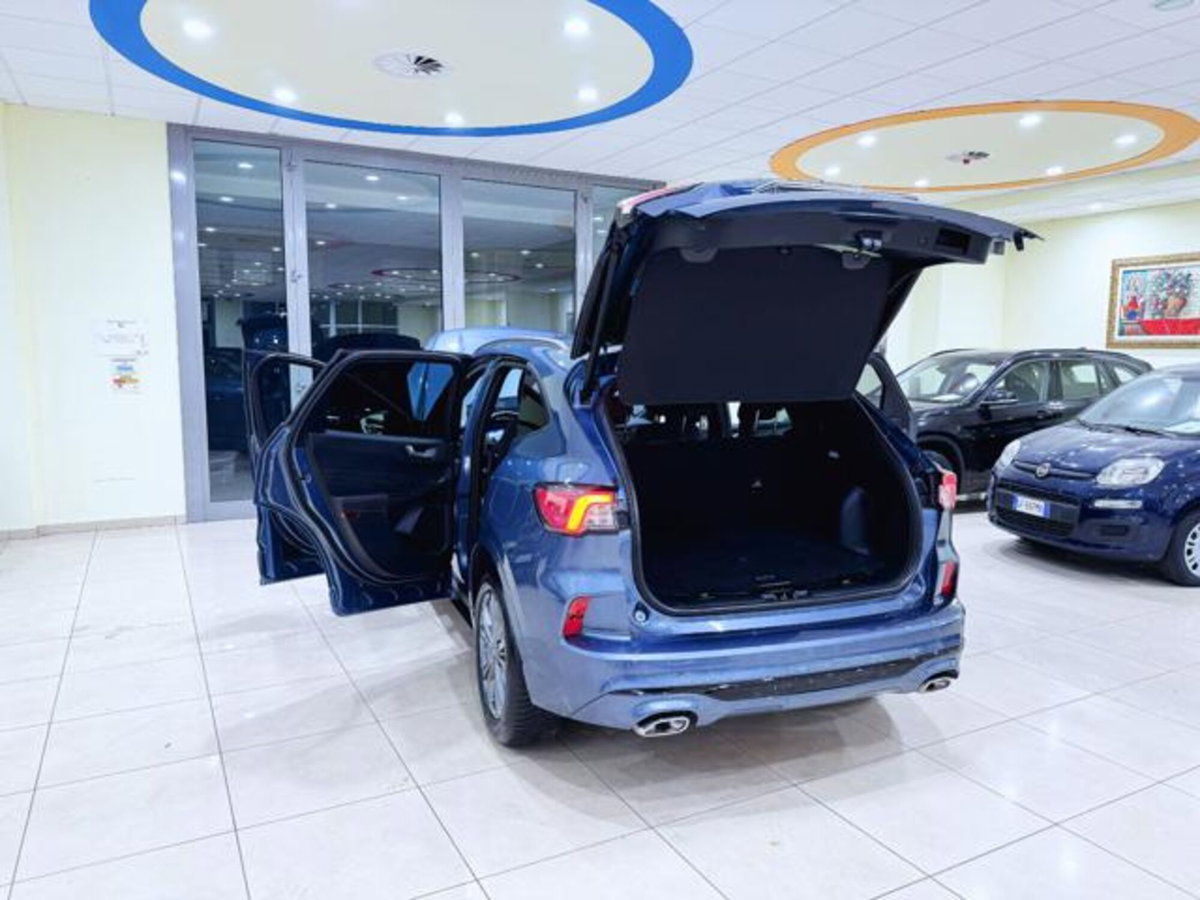 Ford Kuga 2.0 EcoBlue 120 CV aut. 2WD ST-Line X (8)