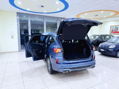Ford Kuga 2.0 EcoBlue 120 CV aut. 2WD ST-Line X (8)