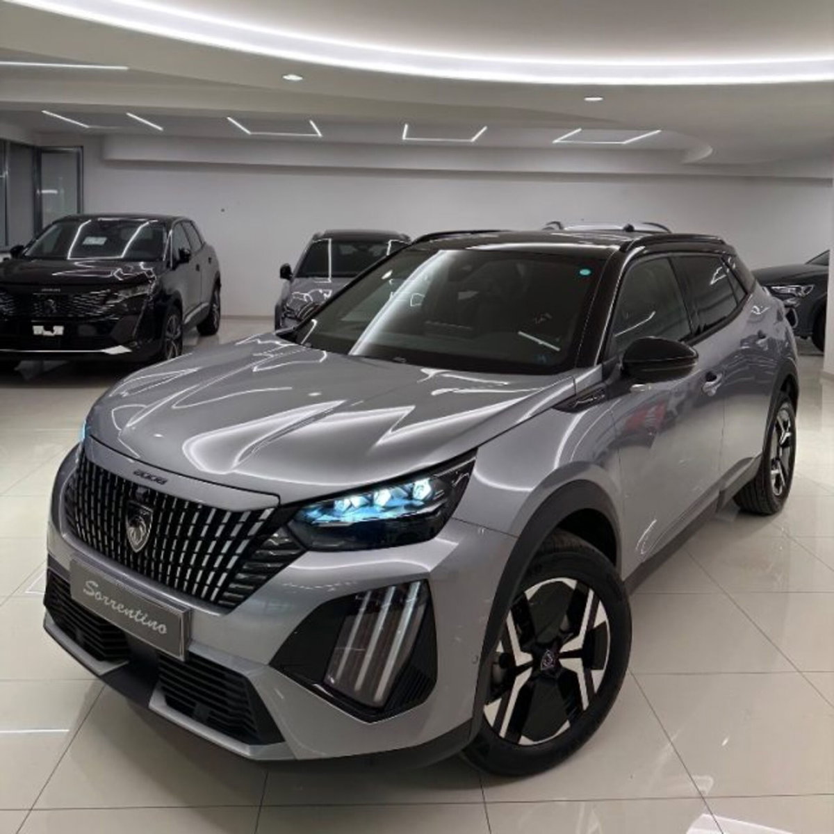 Peugeot 2008 50 kWh GT (6)