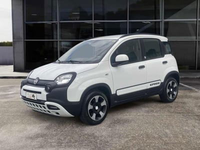 Fiat Panda 1.0 FireFly S&S Hybrid Launch Edition usata