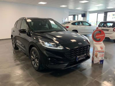 Ford Kuga 1.5 EcoBlue 120 CV aut. 2WD ST-Line X Design usata