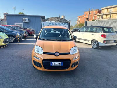 Fiat Panda 1.2 Lounge usata
