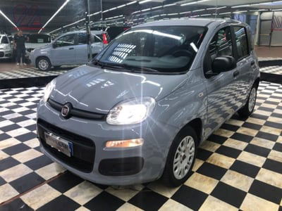 Fiat Panda 1.2 Easy usata