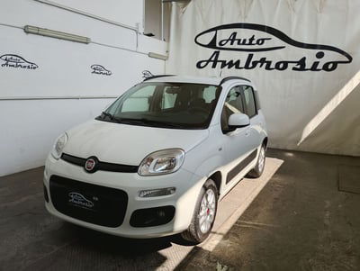 Fiat Panda 1.2 Lounge usata