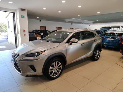 Lexus NX Hybrid usata