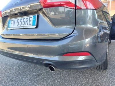 Ford Focus Station Wagon 1.5 EcoBlue 120 CV automatico SW Business (14)