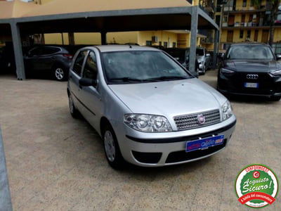 Fiat Punto Classic 1.2 5 porte Active usata