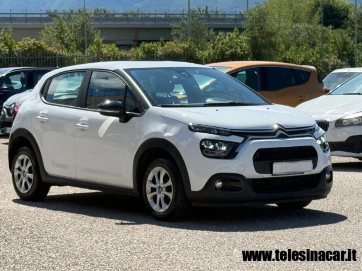 Citroen C3 BlueHDi 100 S&S Van Feel (4)