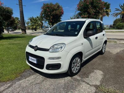 Fiat Panda 1.2 Easy usata