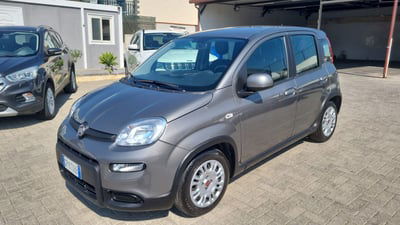 Fiat Panda Cross Cross 1.0 FireFly S&S Hybrid usata