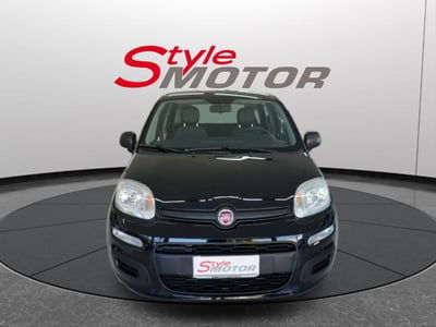 Fiat Panda 1.2 EasyPower Easy usata