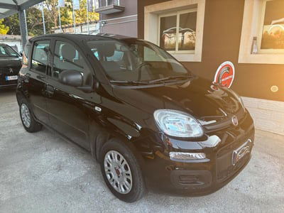 Fiat Panda 1.2 Easy usata