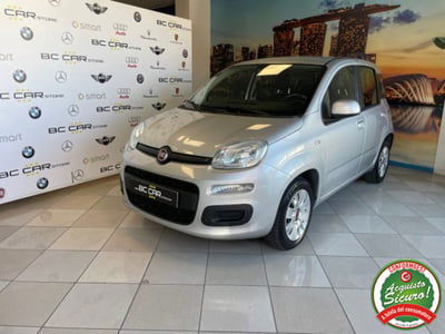 Fiat Panda 1.2 Easy usata